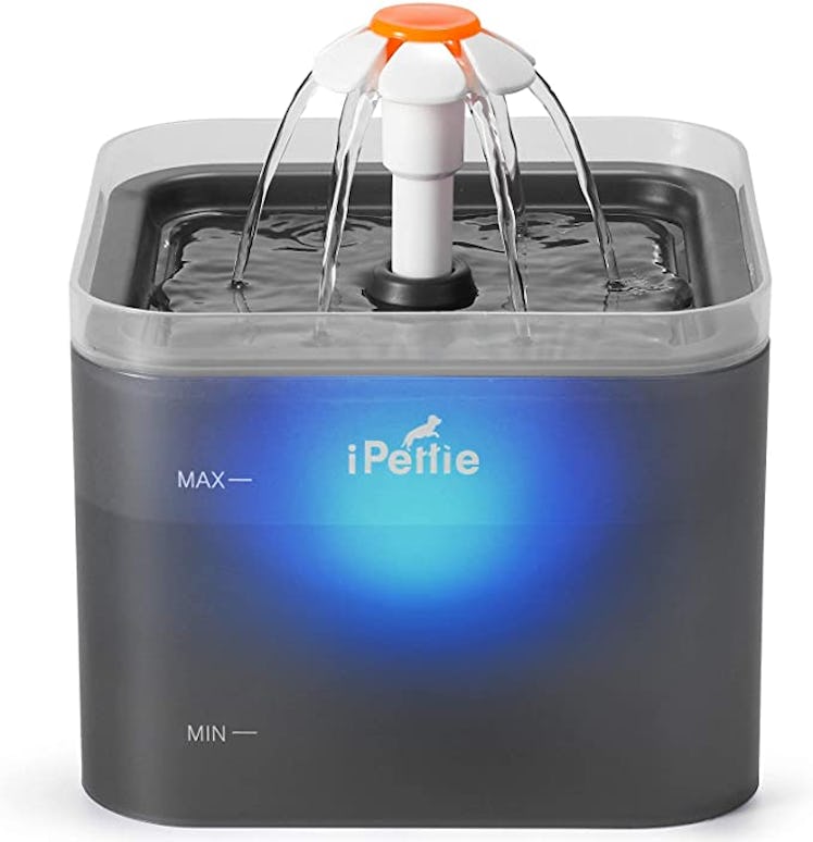 iPettie Neverland Cat Water Fountain with LED Light