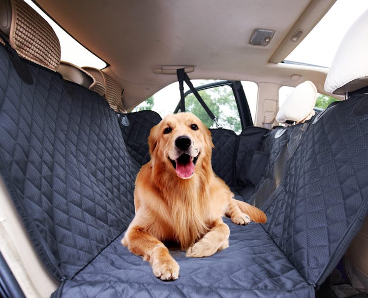 CSCbike Dog Car Seat Cover