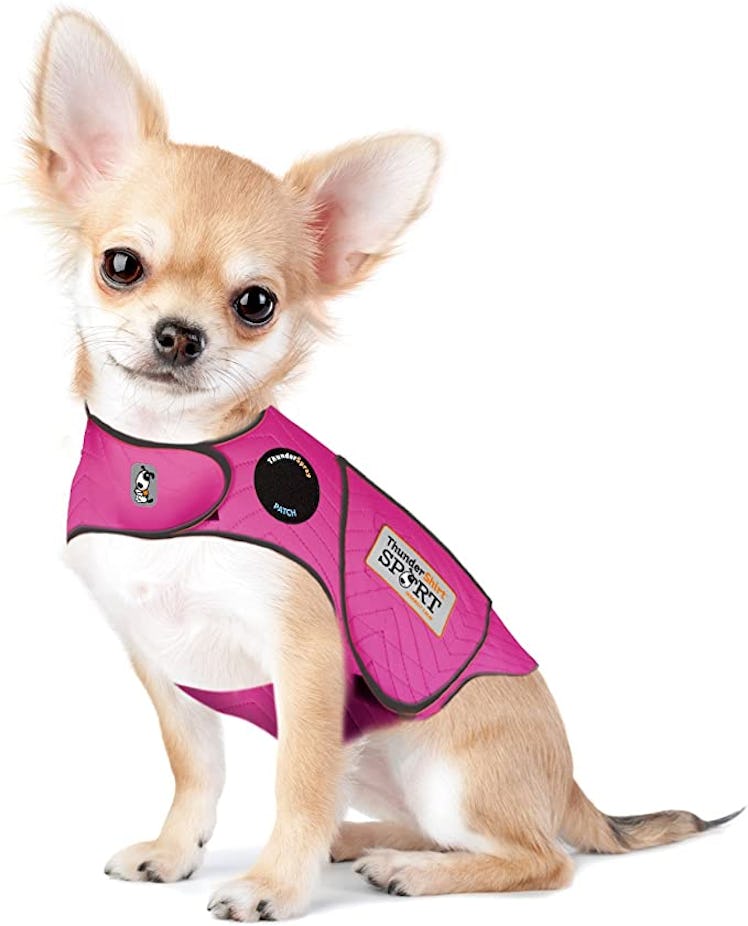 ThunderShirt Dog Anxiety Vest