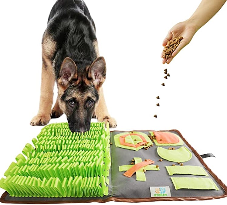 OTOKIM Snuffle Mat Treat Game