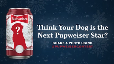 Here's how to enter Budweiser's holiday 2022 dog photo Pupweiser contest.