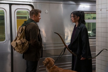 Jeremy Renner, Hailee Steinfeld, and the goodest boy in the whole world in Hawkeye