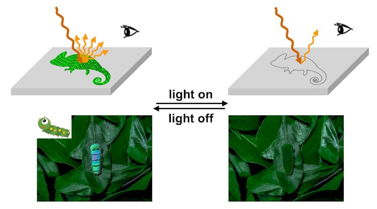 diagram demonstrating the light driven camouflage technology