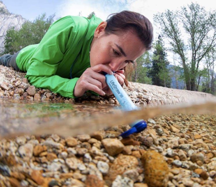 LifeStraw Personal Water Filter (2-Pack)