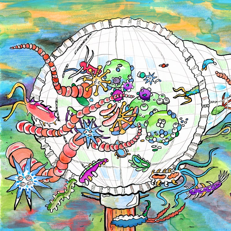 microbiome collecting art