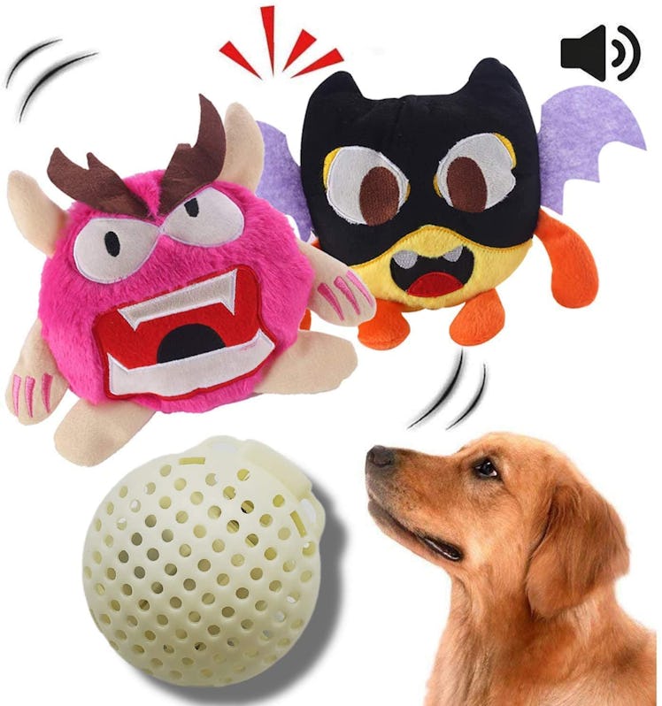 NEILDEN Interactive Squeaky Dog Toys