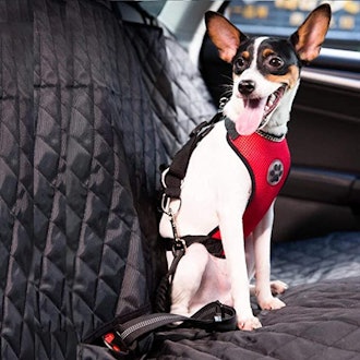 Slowton Dog Car Harness 
