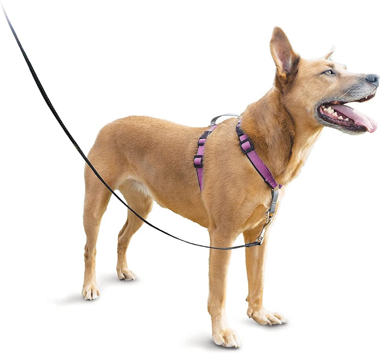 PetSafe 3-in-1 Dog Harness
