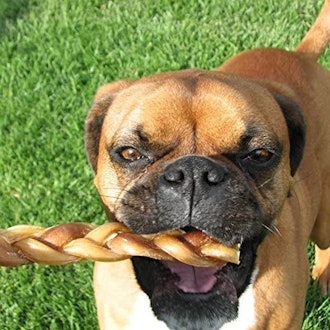 Pawstruck Braided Bully Sticks 