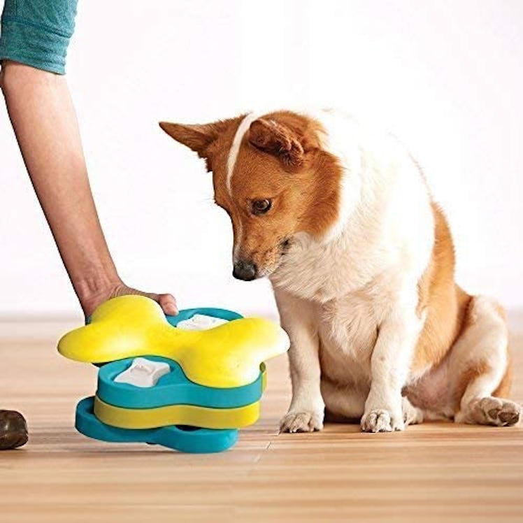 Outward Hound Interactive Puzzle Dog Toy