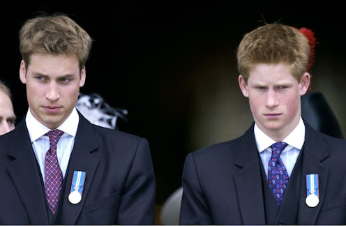 Prince William and Prince Harry in 2002