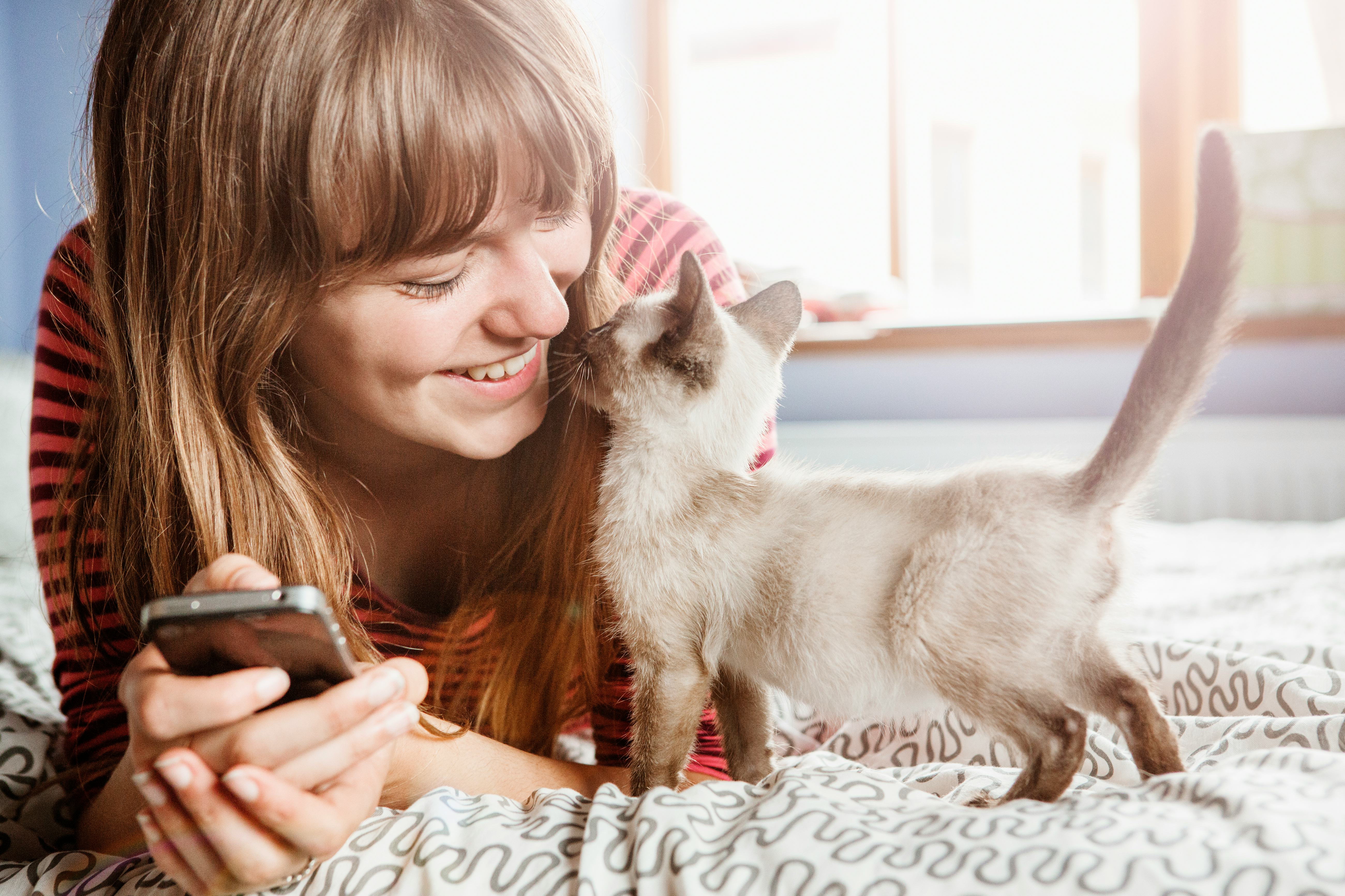 Why doesn’t my cat like me? Six ways to put your pet at ease