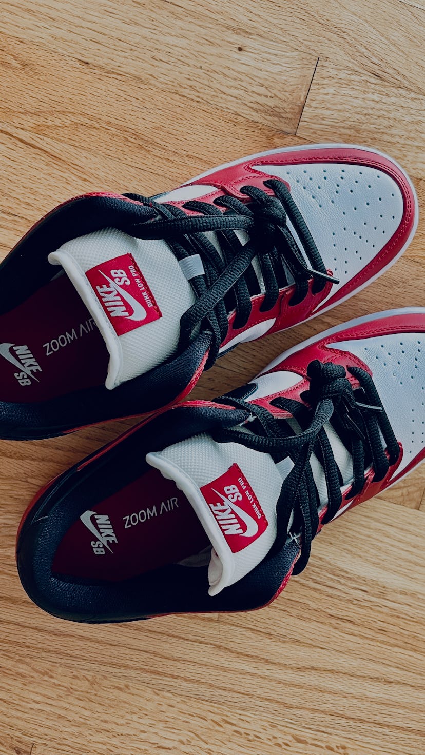 Nike Dunk Low SB J-Pack Chicago on feet review