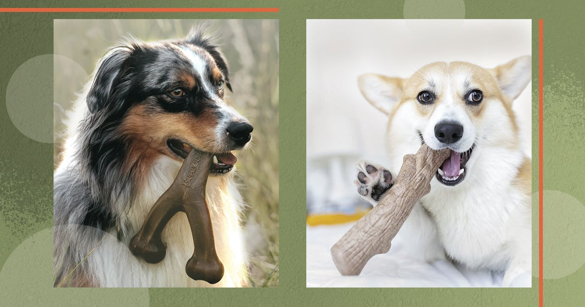 The 16 Best Dog Toys For Heavy Chewers In 2022