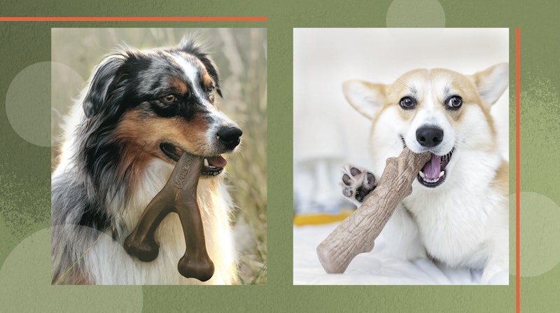 Best Dog Toys For Heavy Chewers