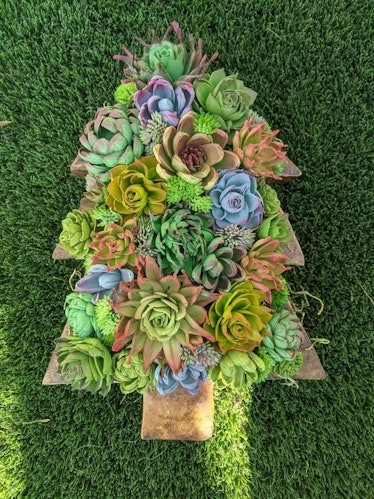 Hand-Painted Wood Succulent Tree