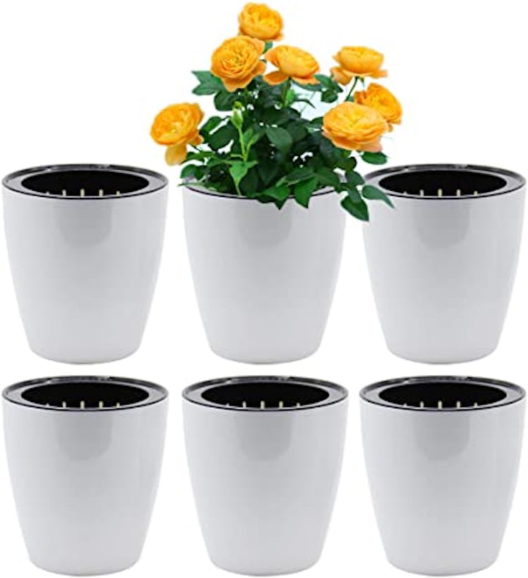 SAND MINE Self Watering Planter Pot (6-Pack)