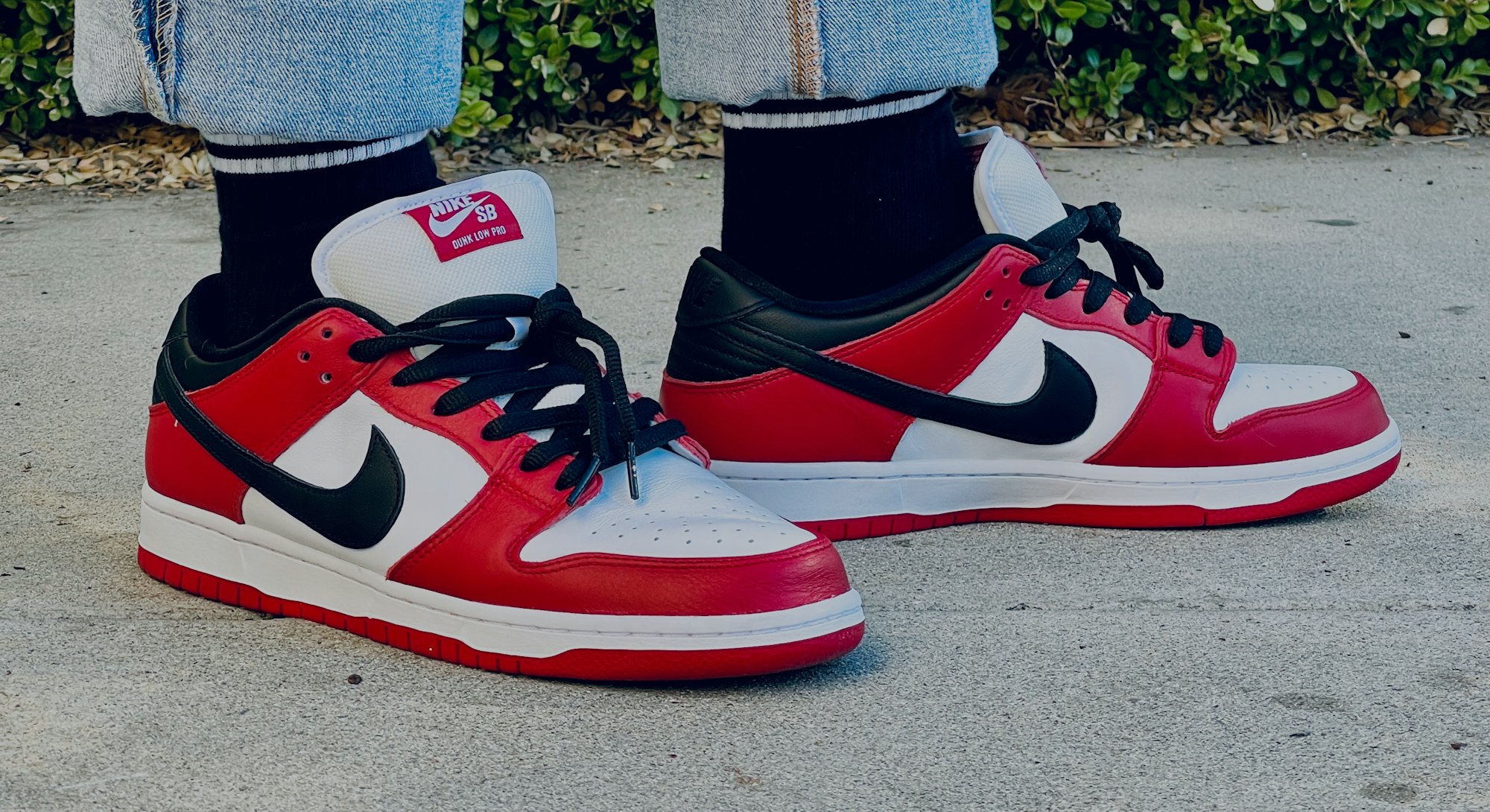 Nike Dunk Low SB J-Pack Chicago on feet review