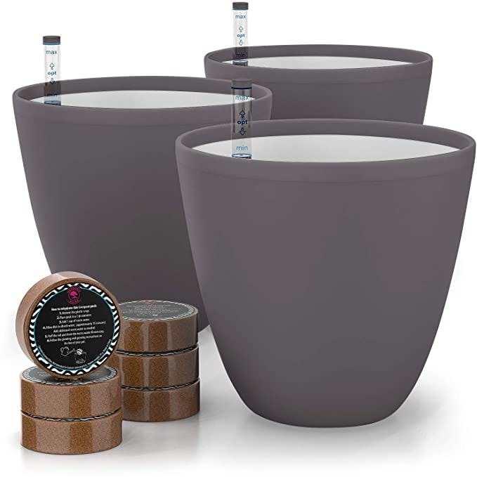 Gardenix Decor Self Watering planters