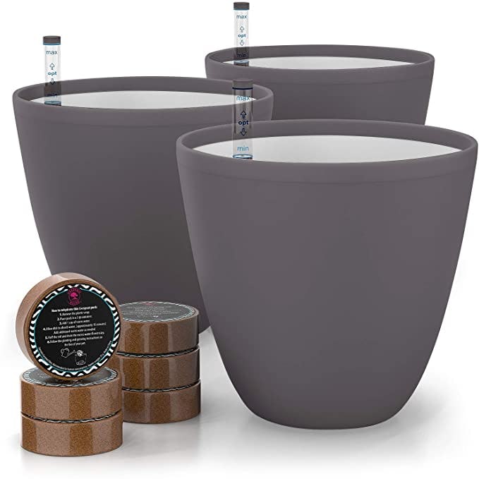 Gardenix Decor Self Watering planters 