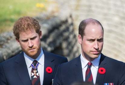 The Duke of Sussex and The Duke of Cambridge 
