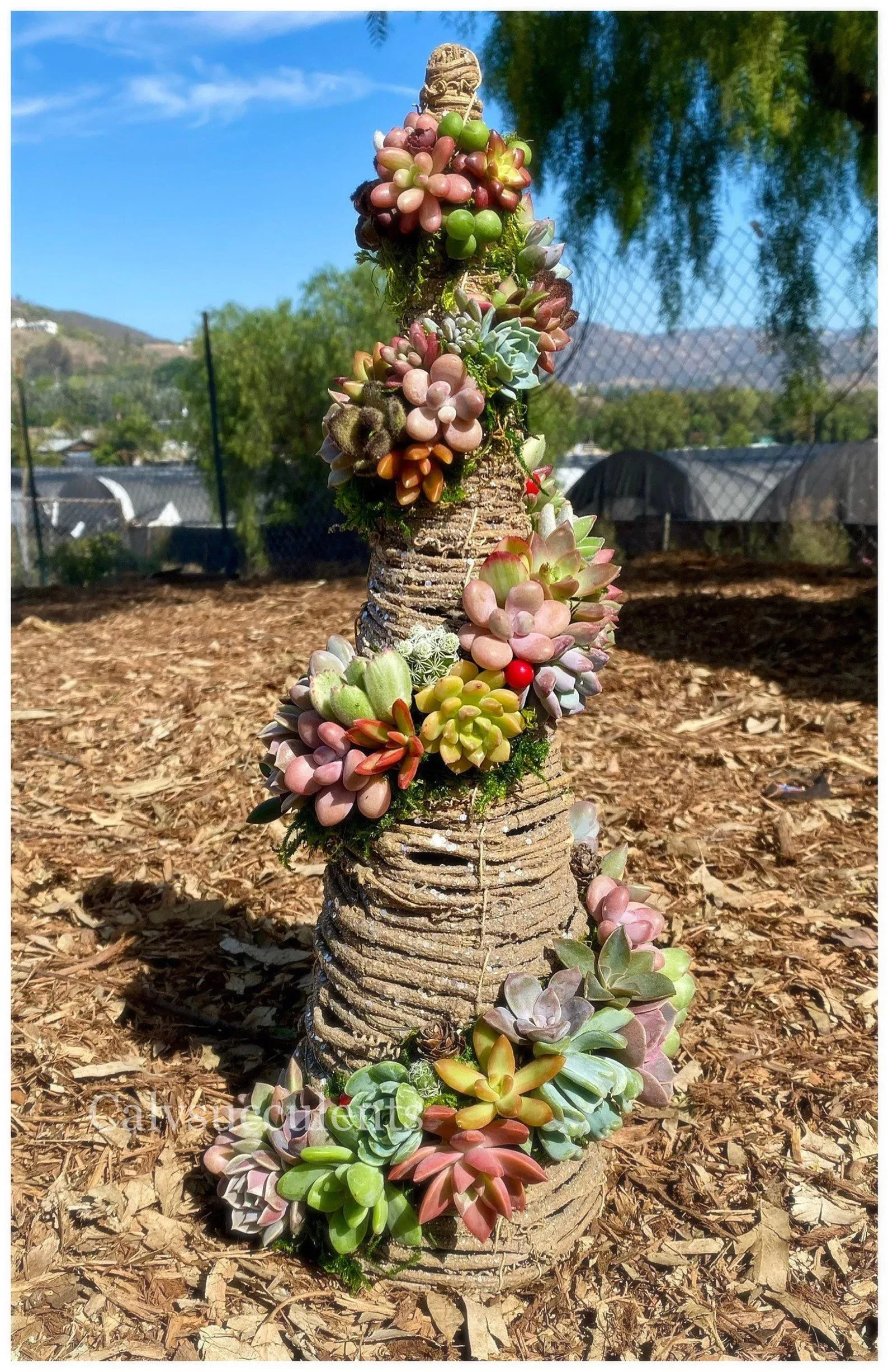 Succulent Christmas Trees On Etsy Make Suc-Cute Holiday Decor