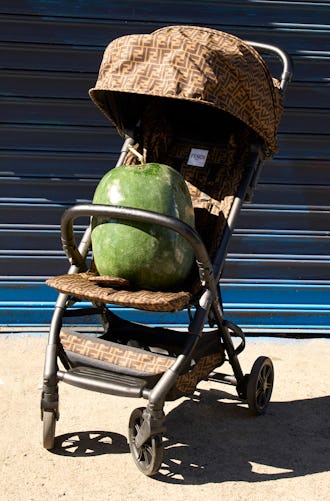 Fendi stroller