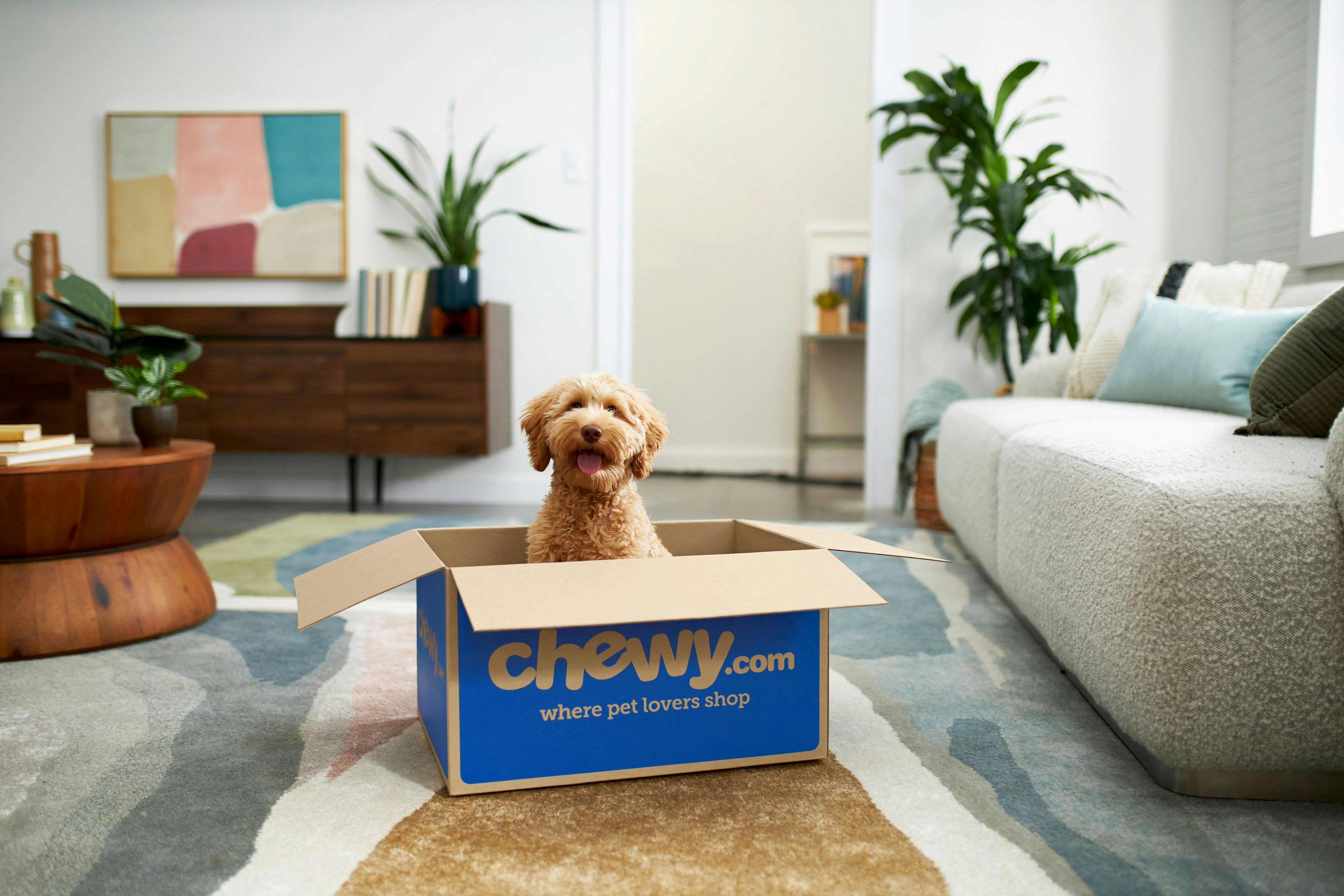 chewy cyber monday sale