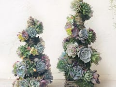 These succulent Christmas trees on Etsy include so many holiday options.