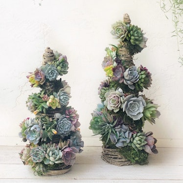 These succulent Christmas trees on Etsy include so many holiday options.