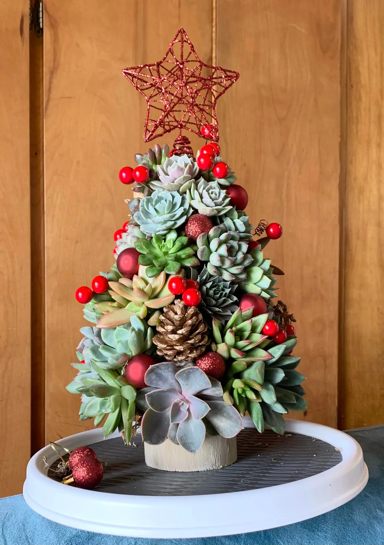 Succulent Christmas Trees On Etsy Make Suc-Cute Holiday Decor