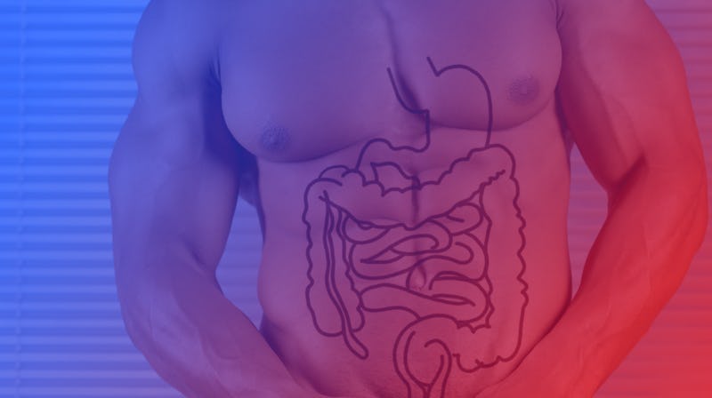 A man's body with an illustrated gut