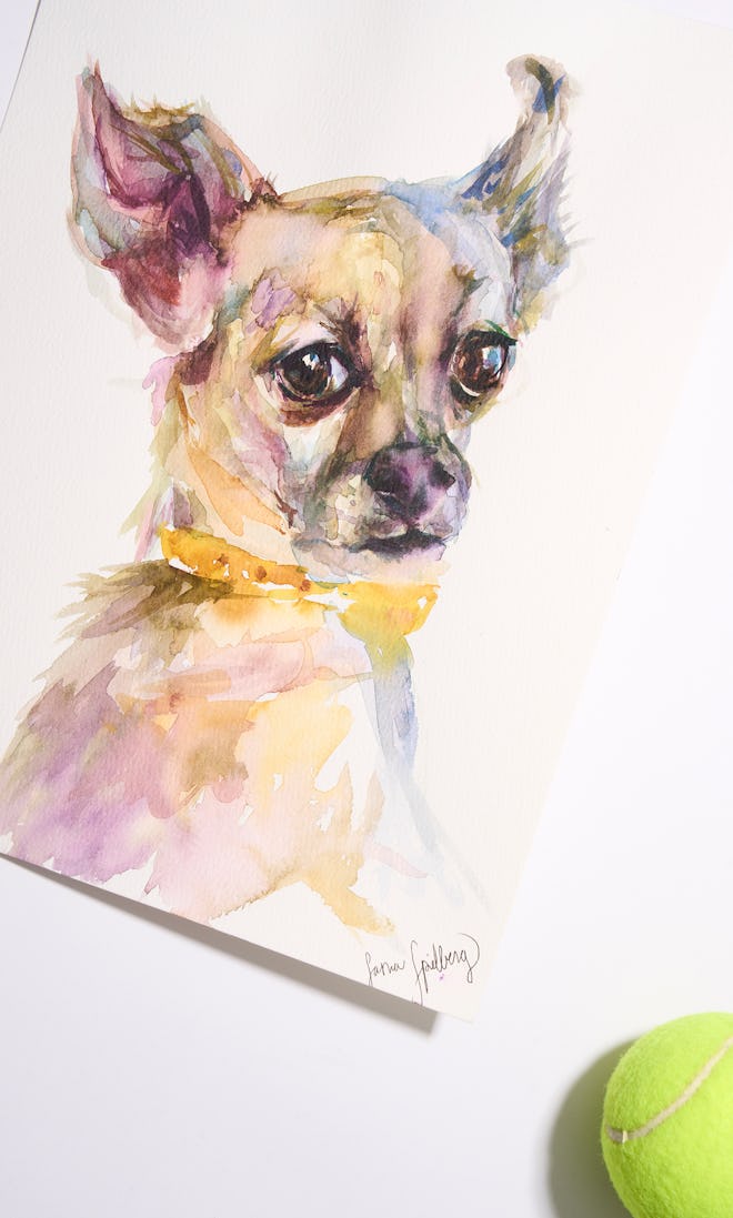 Pet portrait by Sasha Spielberg