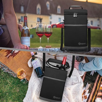OPUX Insulated 2 Bottle Wine Tote Carrier