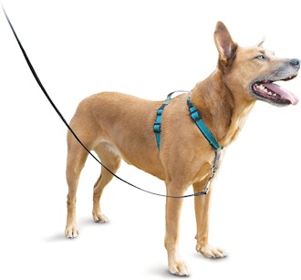 PetSafe 3 in 1 No Pull Dog Harness