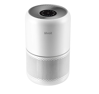 LEVOIT Air Purifier for Home with True HEPA Filter