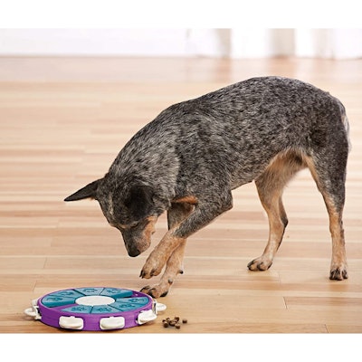 Outward Hound Interactive Puzzle Game Dog Toy