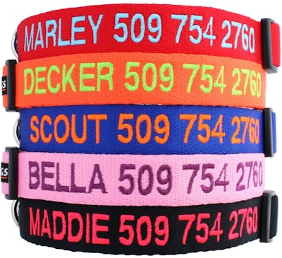 GoTags Personalized Dog Collar