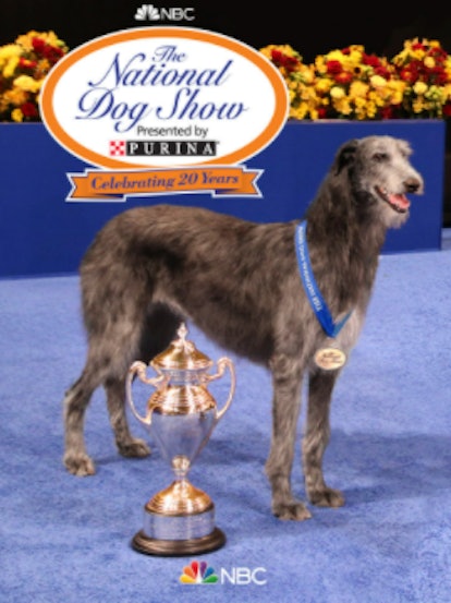 These tweets about Claire winning the 2021 National Dog Show are all saying the same thing.