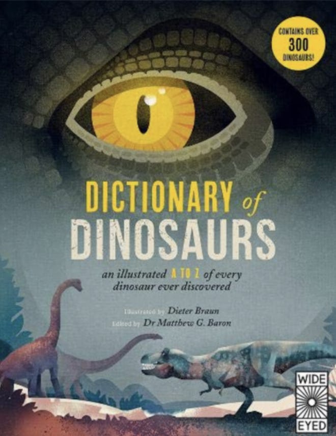 Cover art for 'Dictionary of Dinosaurs' 