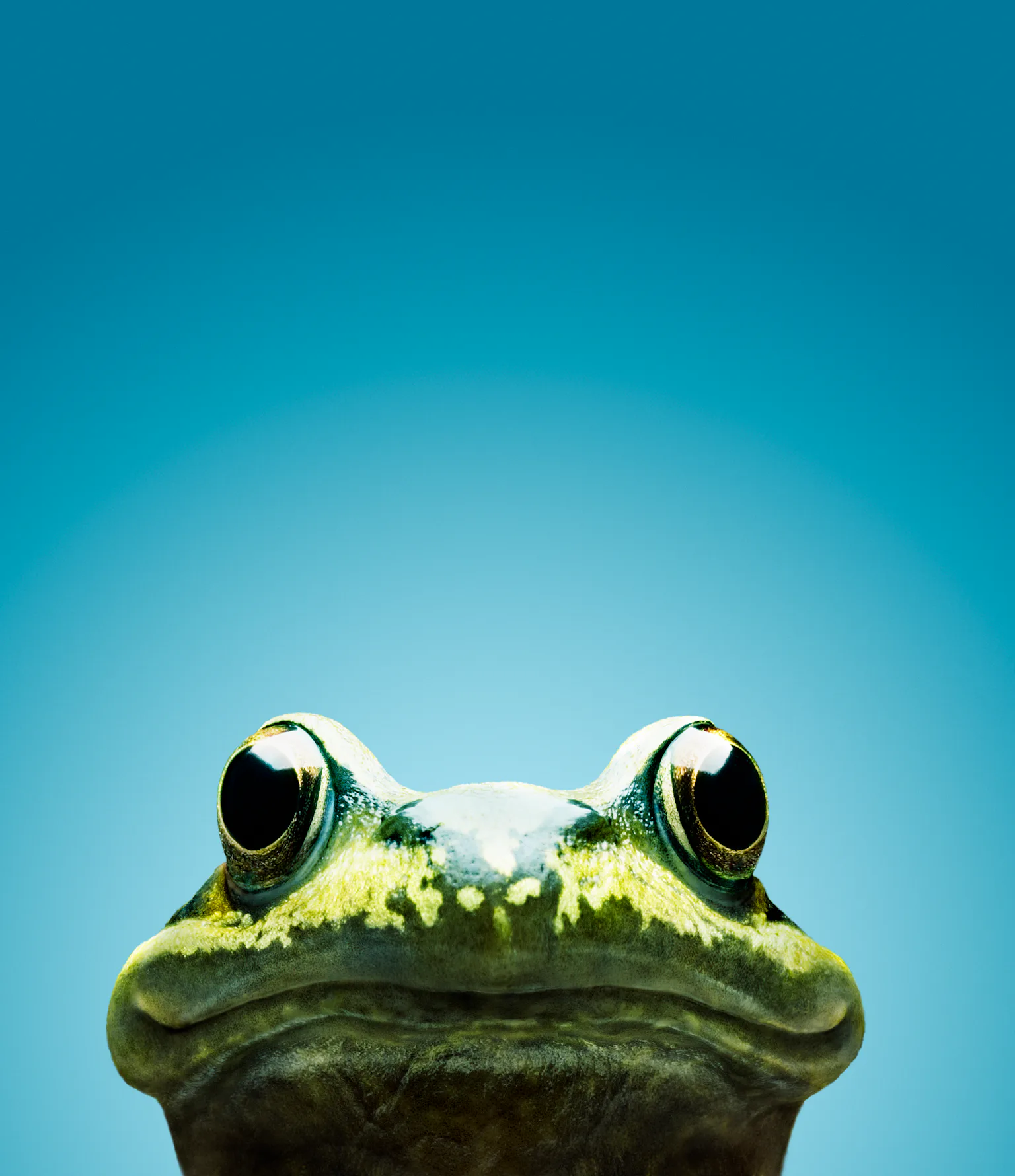 Frog Climate Changes Scientists see a strange — and worrying — climate change effect in frogs