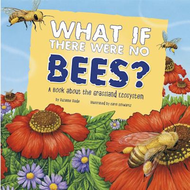 Cover art for 'What If There Were No Bees?: A Book about the Grassland Ecosystem' 