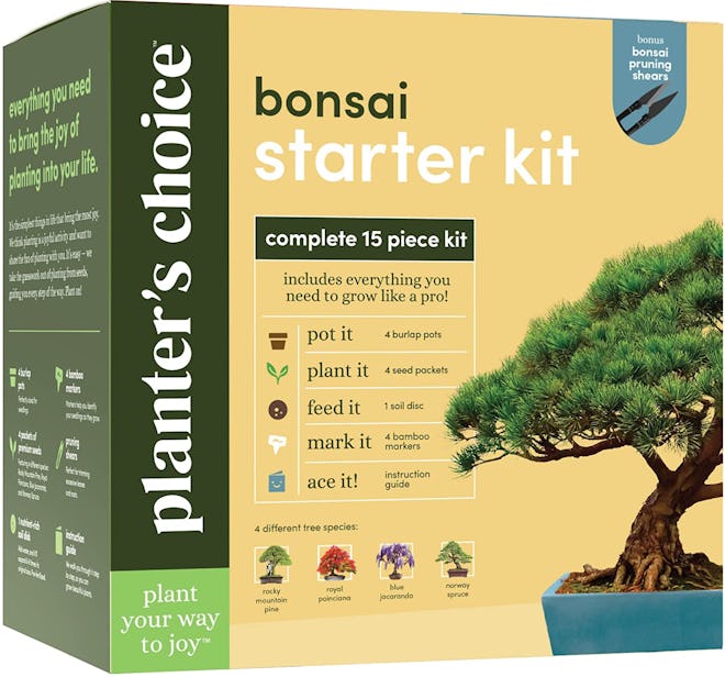 Planters' Choice Bonsai Starter Kit