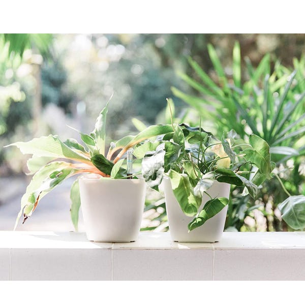 Gardenix Decor Self Watering Pots (2 Pack)