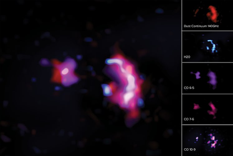 SPT0311-58 galaxy with water spectra