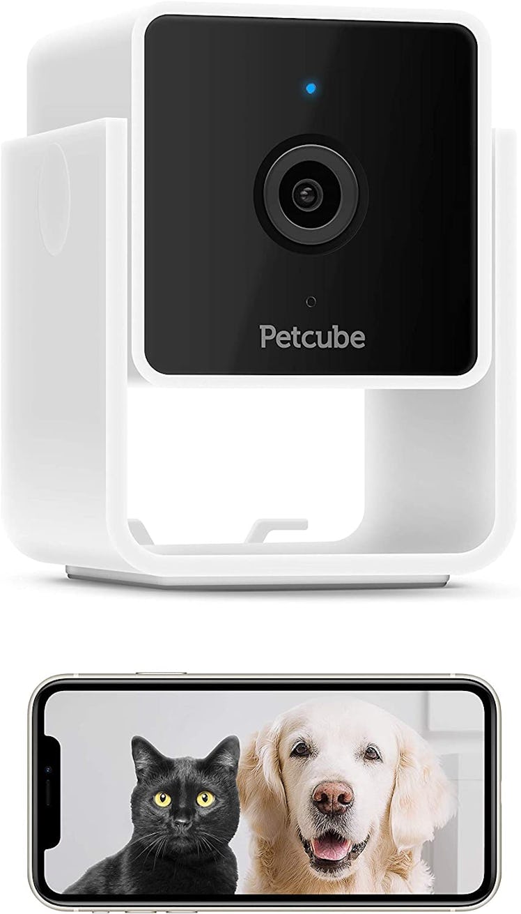 Petcube Cam Pet Monitoring Camera with Built-in Vet Chat