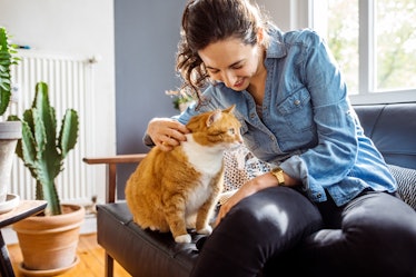 Woman cuddles with cat on couch in living room