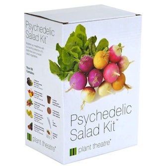 Plant Theatre Psychedelic Salad Kit (5-Pack)