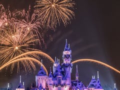 A day at Disneyland during the holidays is complete after watching the fireworks over Sleeping Beaut...