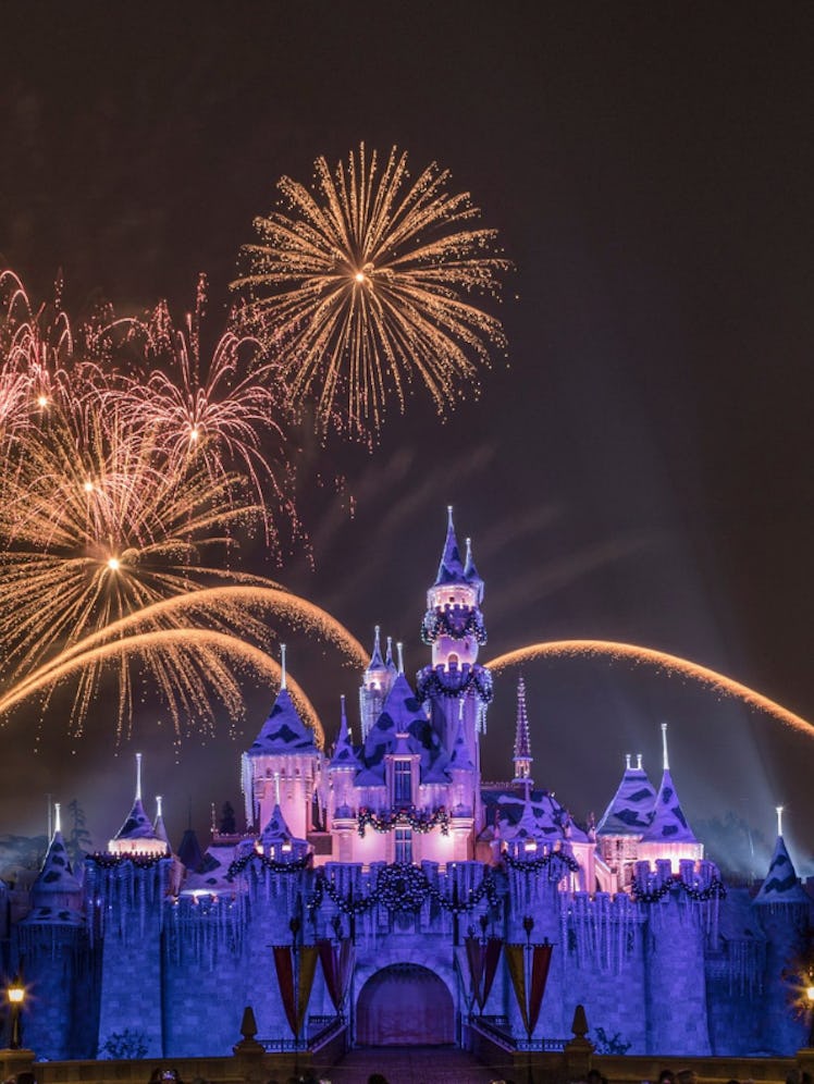 A day at Disneyland during the holidays is complete after watching the fireworks over Sleeping Beaut...